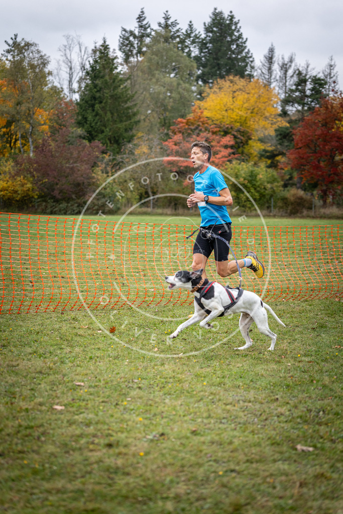 Pfotenfotografie_DV3A2090 | Hundefotografie, Tierfotograf, Pfotenfotografie, Fotoshooting Hund, Hunde Portrait, Hundesport, Hundeportraits, Heideshooting, Hunde, Sportfotograf, Hundefotograf, Turnierhundsport, THS,  - Realisiert mit Pictrs.com