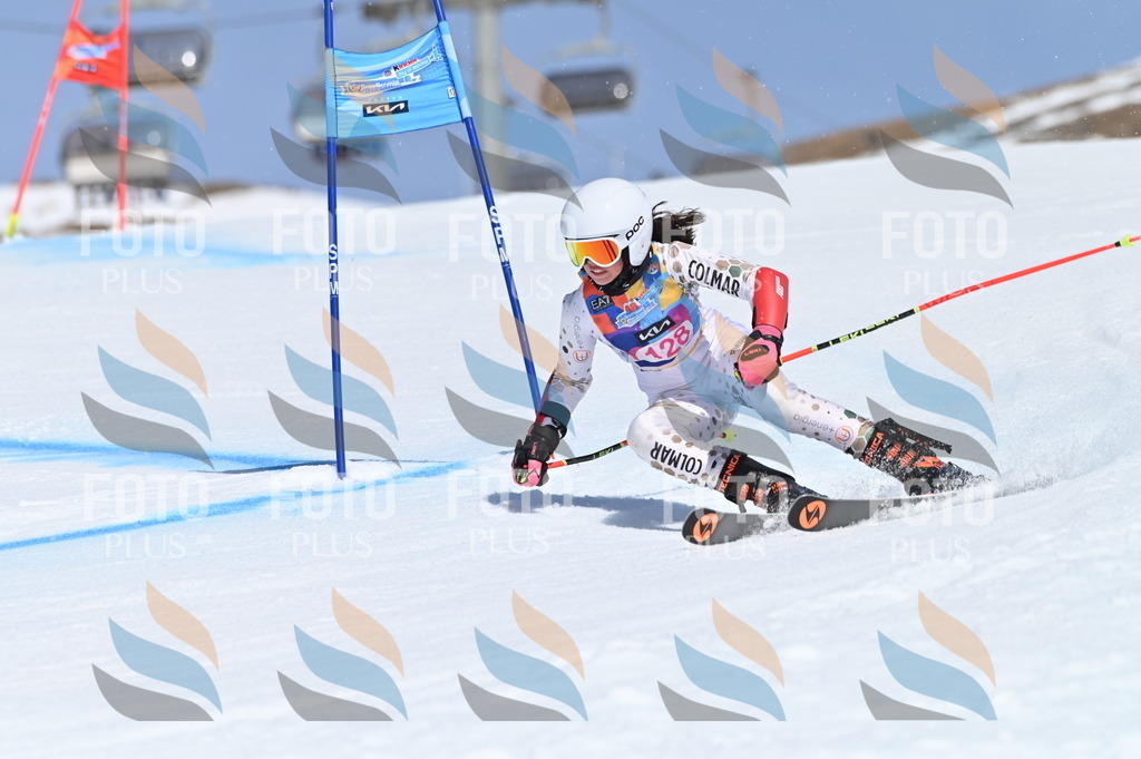 BGV_9953 | holidayphoto