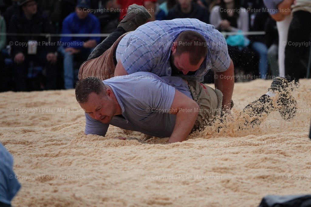 DSC03808 | Schwingen - Realisiert mit Pictrs.com