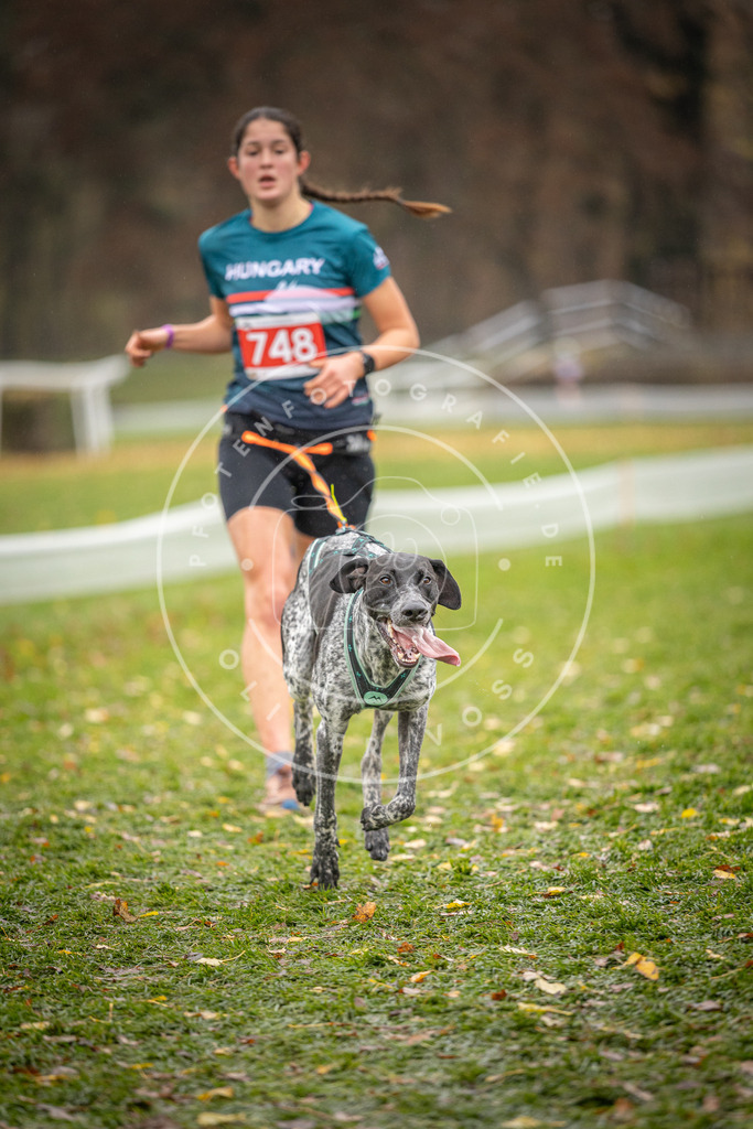 CaniXpix_DV3A9188 | Hundefotografie, Tierfotograf, Pfotenfotografie, Fotoshooting Hund, Hunde Portrait, Hundesport, Hundeportraits, Heideshooting, Hunde, Sportfotograf, Hundefotograf, Turnierhundsport, THS,  - Realisiert mit Pictrs.com
