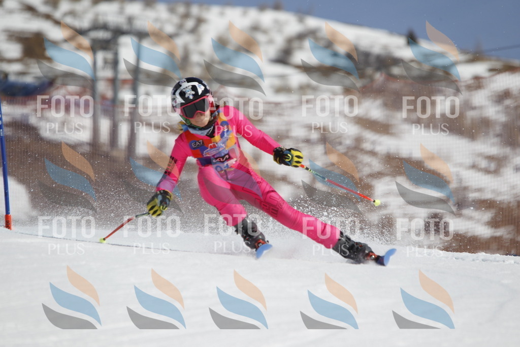 _U3G0170 | holidayphoto