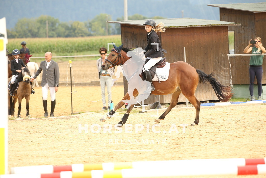DL2Q3262 | Willkommen bei Brunnmayr - Design & Fotografie – Ihrem Spezialisten für Reitturniere und Pferdeveranstaltungen in Oberösterreich, Salzburg und Bayern! Seit über 17 Jahren sind wir leidenschaftlich dabei.