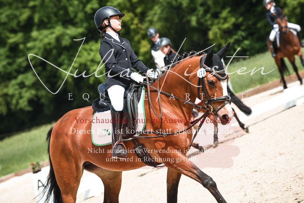 20230518_JK-Röhrsdorf-11-0817 | Pferde- und Turnierfotografie in Westsachsen. Pferdeportraits, Auftragszeichnungen und intuitive Kunst.
