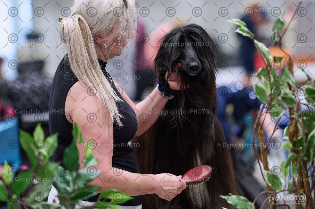 202406_ÖKV-IHA-Tulln24_DSC_4094 | proPHOTO - Realisiert mit Pictrs.com