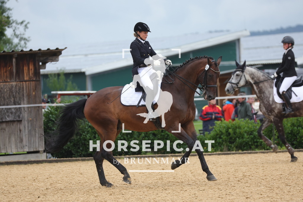 0P6A1479 | Willkommen bei Brunnmayr - Design & Fotografie – Ihrem Spezialisten für Reitturniere und Pferdeveranstaltungen in Oberösterreich, Salzburg und Bayern! Seit über 17 Jahren sind wir leidenschaftlich dabei.