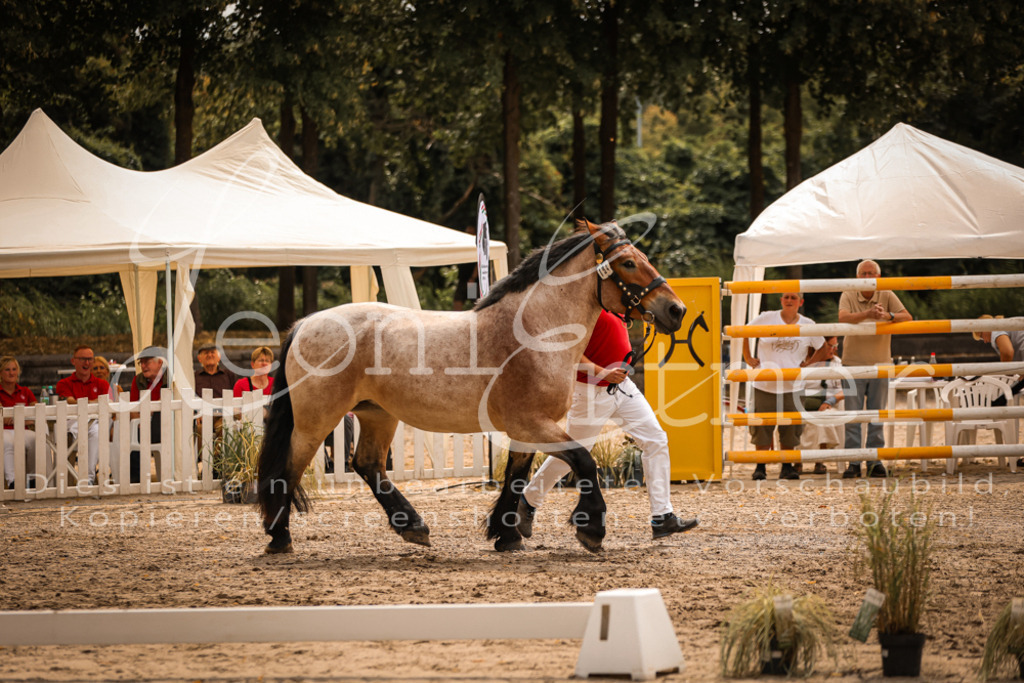 3.Sa00079 | Leoni Ertmer Photography - Realisiert mit Pictrs.com