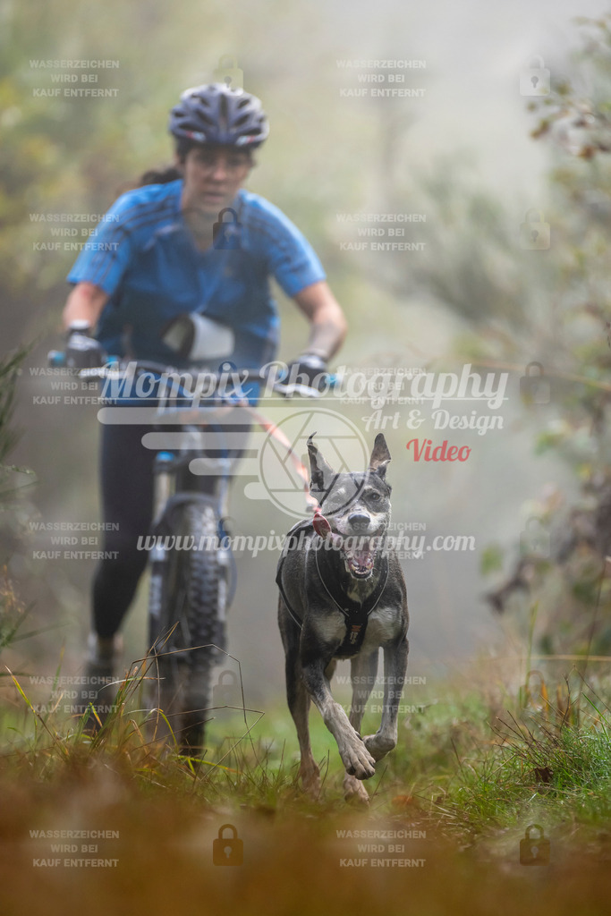 MompixPhotography_20TSB_E4_DS1-34 | PayLife
