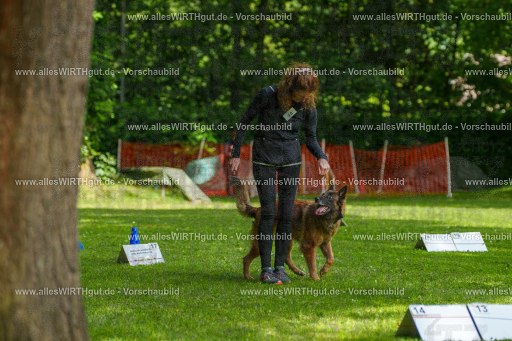 @allesWIRTHgut_Tierfotografie - www.allesWIRTHgut.de - 7R503721 | Professionelle Tierfotografie in Mönchengladbach von Daniel Wirth (allesWIRTHgut). Liebevolle & natürliche Bilder von Hunden & Katzen für unvergessliche Erinnerungen.