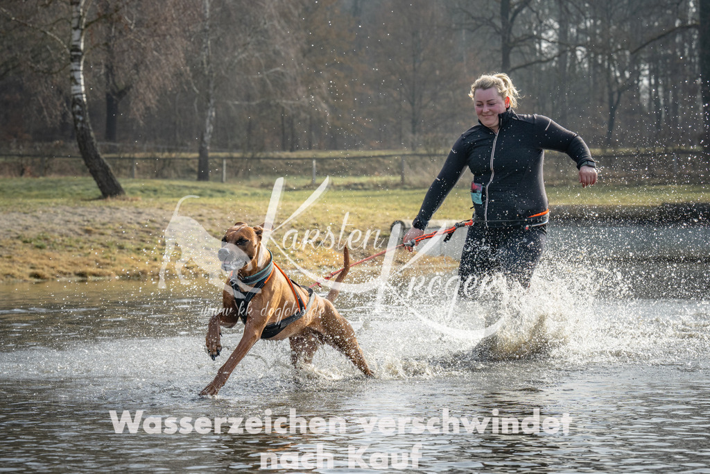 0945_ZZ93450 | kk-dogfotos