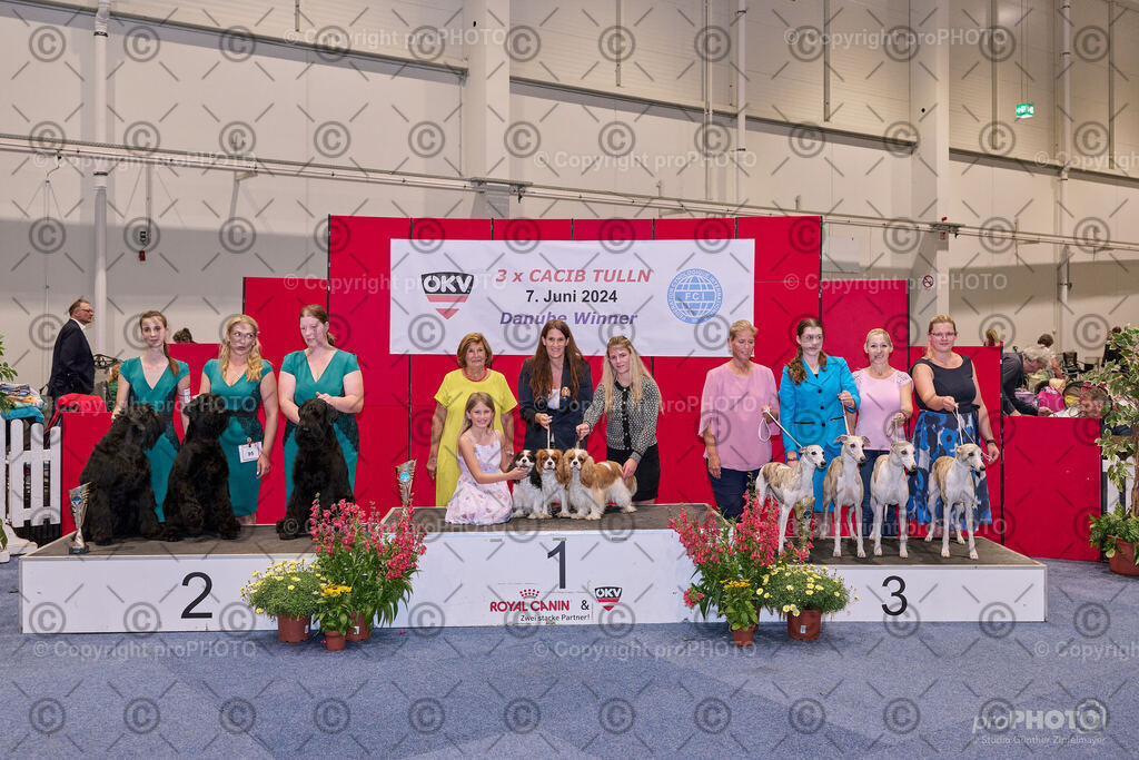 202406_ÖKV-IHA-Tulln24_NZ9_7797 | proPHOTO - Realisiert mit Pictrs.com