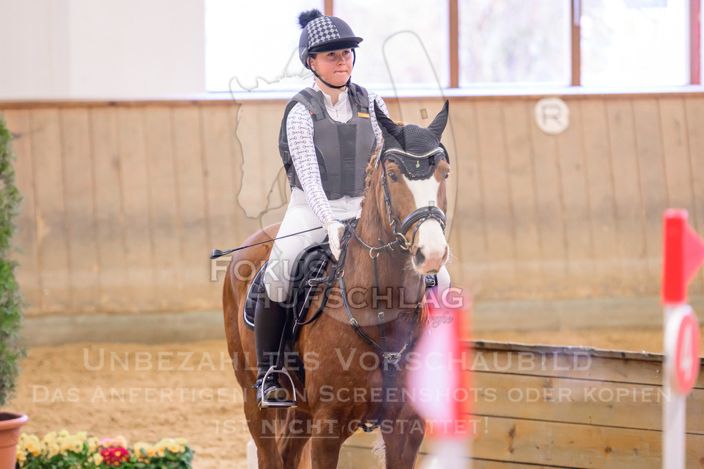 29032026-Schwaiganger-Prfg03-1-0918 | Fokus Hufschlag Fotografie - Realisiert mit Pictrs.com