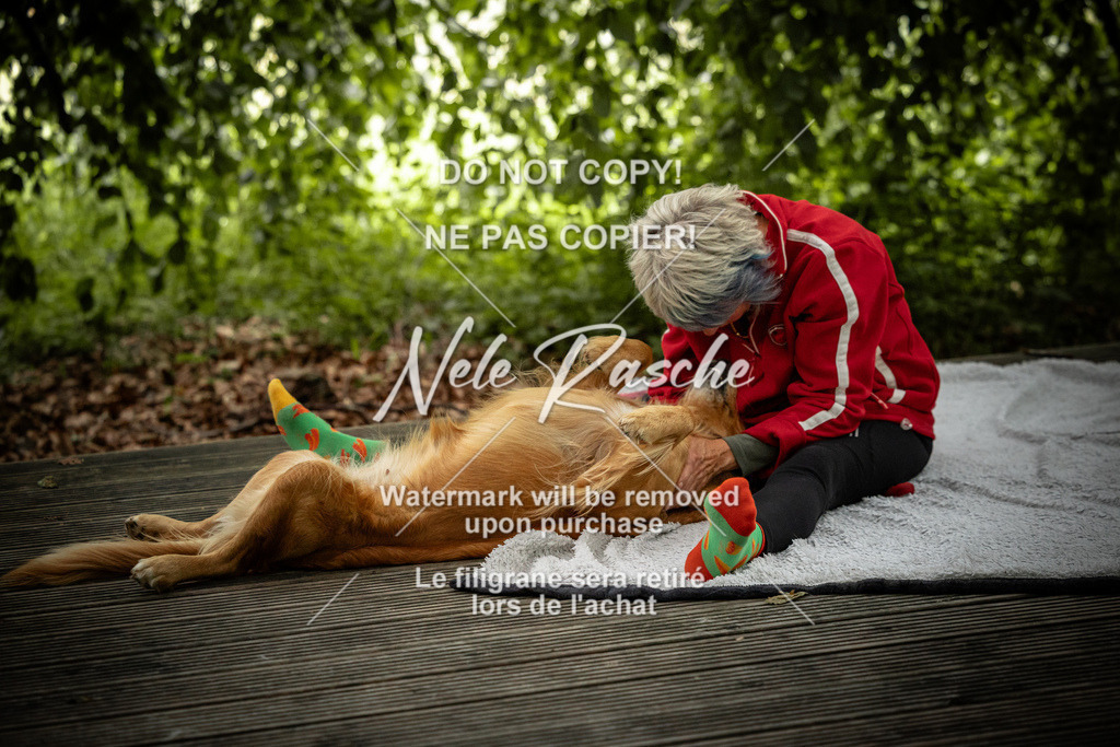 nelerasche_SaN_82 | nelerasche
