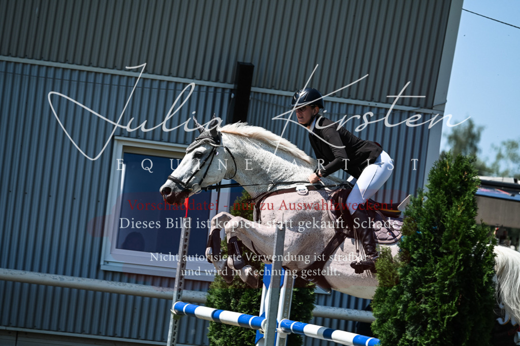 DSC_0261 | Pferde- und Turnierfotografie in Westsachsen. Pferdeportraits, Auftragszeichnungen und intuitive Kunst.