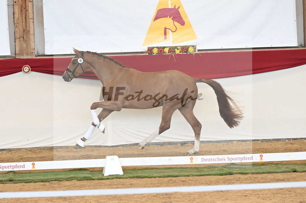 Kat.-Nr. 76 v. Sir Heinrich_Schulze Averdiek_3261119 | hf-fotografie - Realizzato con Pictrs.com