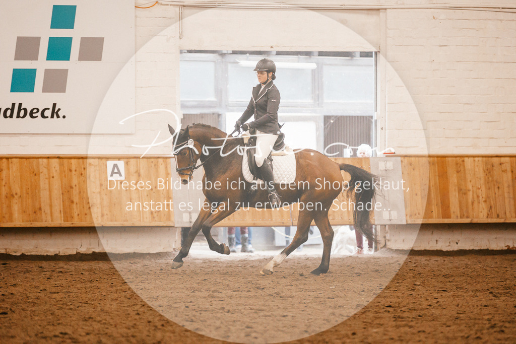 3I6A4606 | Stimmungsvolle Portraits und Reitsportfotografie im Ruhrgebiet und im Münsterland.

Pferdefotografie, Hundefotografie, Tierfotografie, Reportagen, Portraits von Tier und Mensch, Turnierfotografie in Bochum, Recklinghausen, Marl, Haltern am See, Dülmen.. - Realisiert mit Pictrs.com