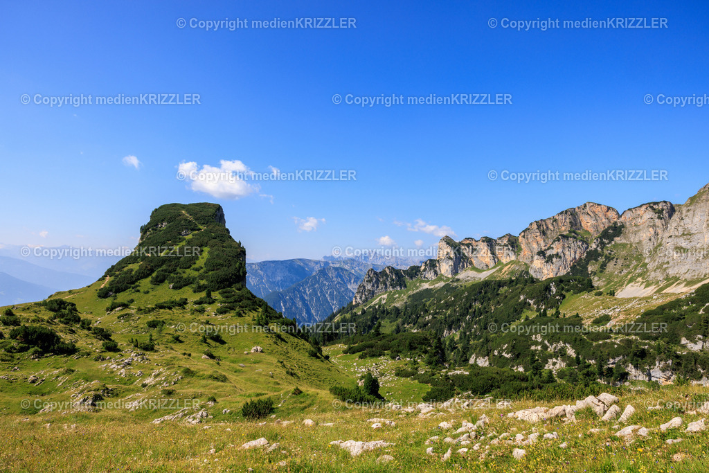 _J3A8221 | medienkrizzler - Realisiert mit Pictrs.com