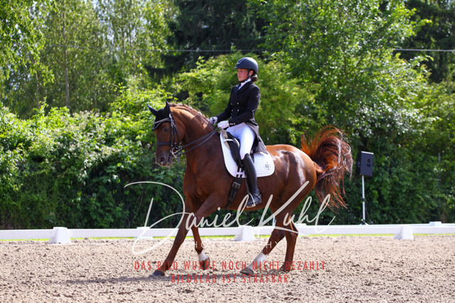 DKP41414 | Turnierfotos kaufen im Webshop von Daniel Kuhl Photography – entdecke professionelle Reitsportfotos aus Turnieren & Events. Hochwertige Turnierbilder online bestellen & sichern. Jetzt Fotos von Reitsportturnieren kaufen!