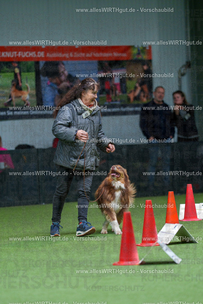 7R506199 | Professionelle Tierfotografie in Mönchengladbach von Daniel Wirth (allesWIRTHgut). Liebevolle & natürliche Bilder von Hunden & Katzen für unvergessliche Erinnerungen.