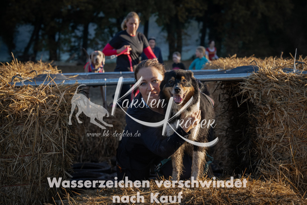 0908_ZZ91517 | kk-dogfotos