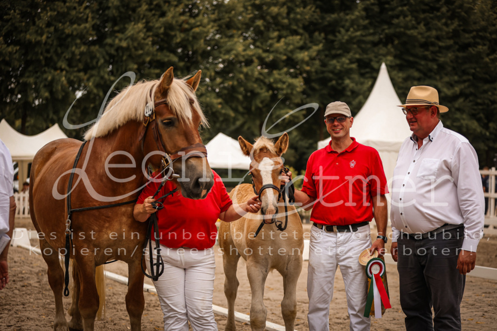 SaHF00118 | Leoni Ertmer Photography - Realisiert mit Pictrs.com