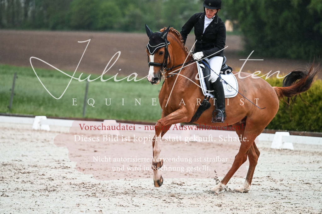 DSC_4480 | Pferde- und Turnierfotografie in Westsachsen. Pferdeportraits, Auftragszeichnungen und intuitive Kunst.