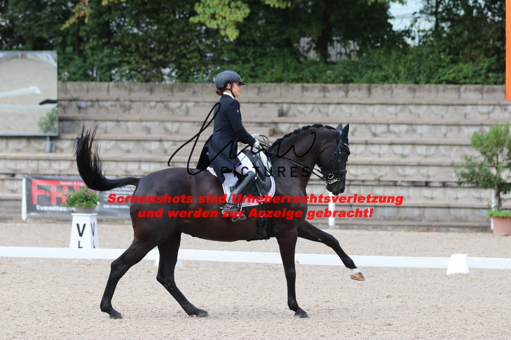 IMG_5932 | lmwpictures - Realisiert mit Pictrs.com