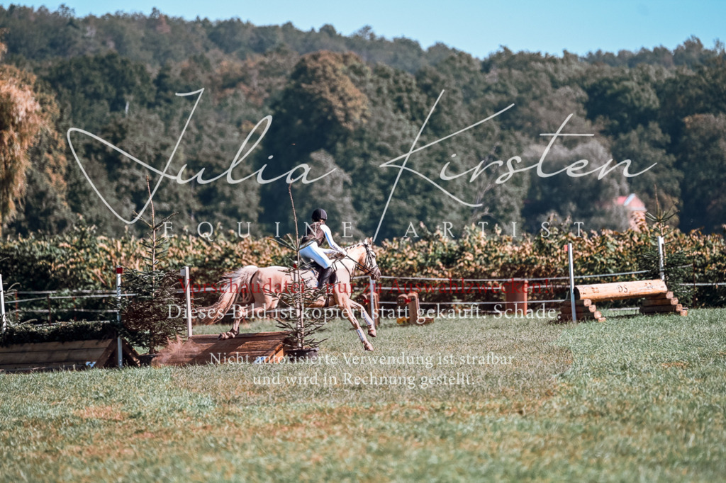 DSC_1120 | Pferde- und Turnierfotografie in Westsachsen. Pferdeportraits, Auftragszeichnungen und intuitive Kunst.