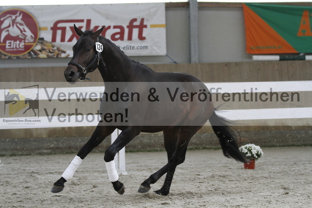 _MG_9704 | equestrian-live-com