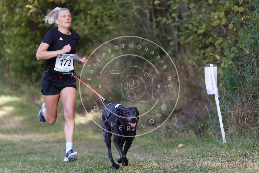 0L8A5480 | Hundefotografie, Tierfotograf, Pfotenfotografie, Fotoshooting Hund, Hunde Portrait, Hundesport, Hundeportraits, Heideshooting, Hunde, Sportfotograf, Hundefotograf, Turnierhundsport, THS,  - Realisiert mit Pictrs.com