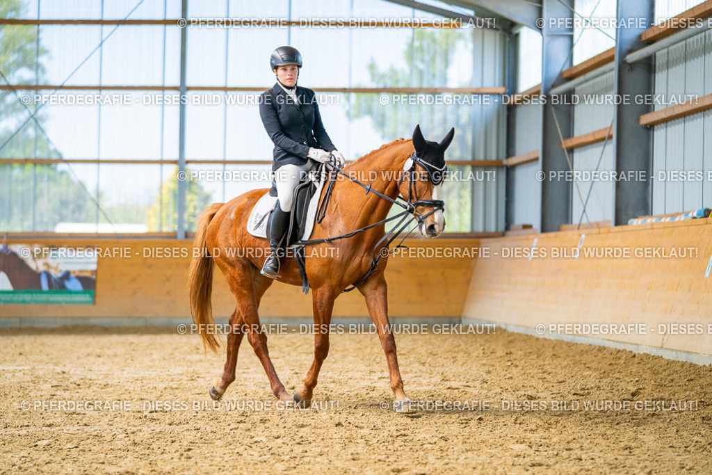 DSC08510 | Pferdegrafie