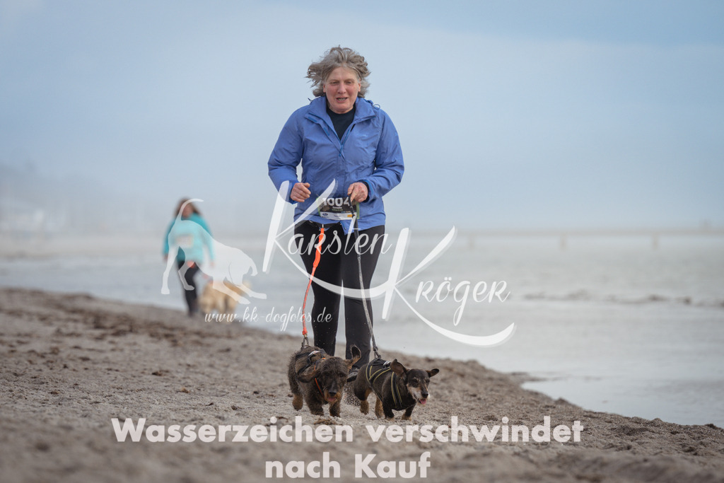 1211_ZZ94565 | kk-dogfotos