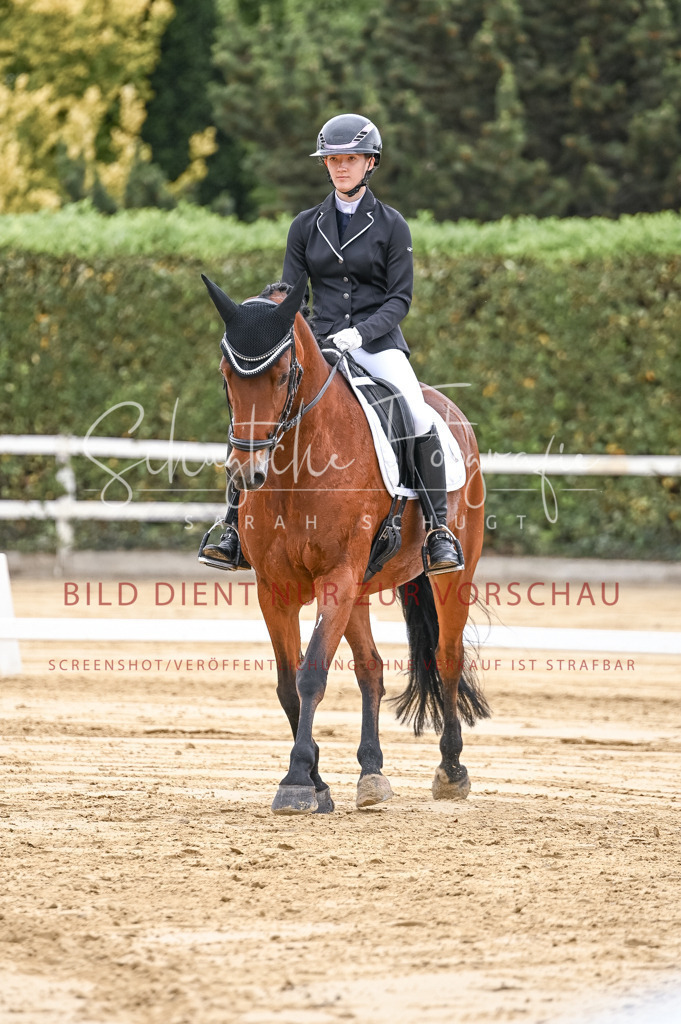 Schugtsche-Aluta25-42.EDressur -128 | Schugtsche Fotografie - Realizzato con Pictrs.com