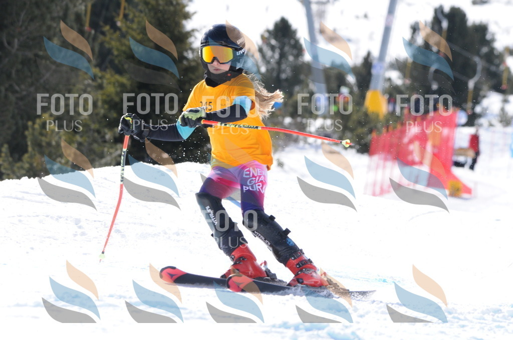 C8827 | holidayphoto