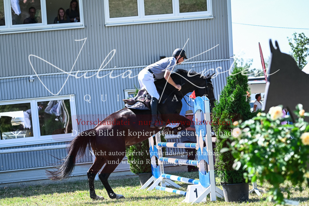 DSC_1414 | Pferde- und Turnierfotografie in Westsachsen. Pferdeportraits, Auftragszeichnungen und intuitive Kunst.