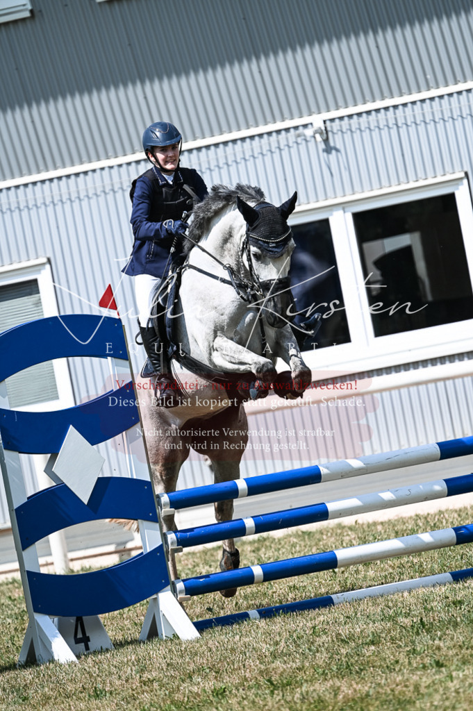DSC_8815 | Pferde- und Turnierfotografie in Westsachsen. Pferdeportraits, Auftragszeichnungen und intuitive Kunst.