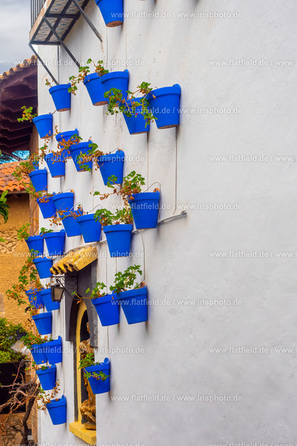 Blaue Blumentöpfe an der Hauswand | Gesehen in Barcelona