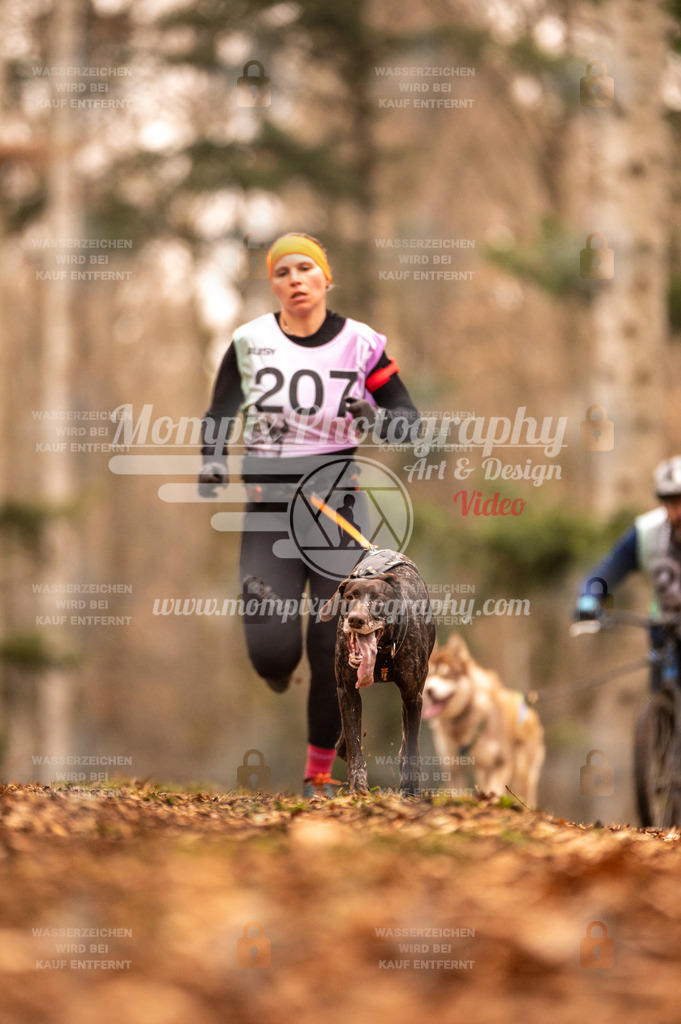 AKM_ST_2023_SAM_Run-9 | PayLife