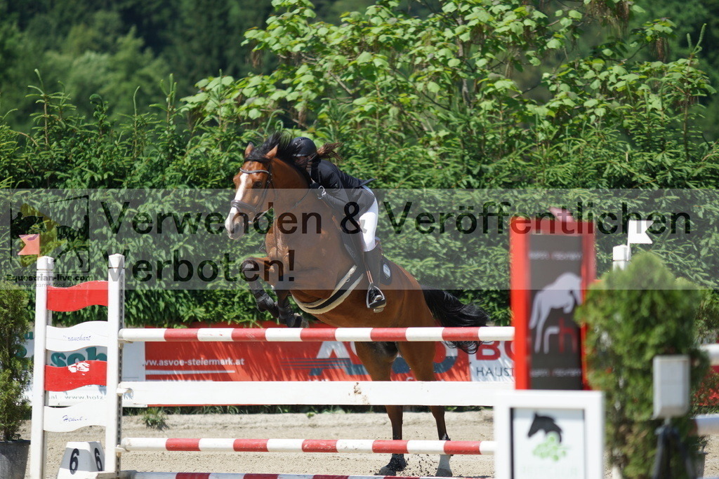 DSC00772 | equestrian-live-com