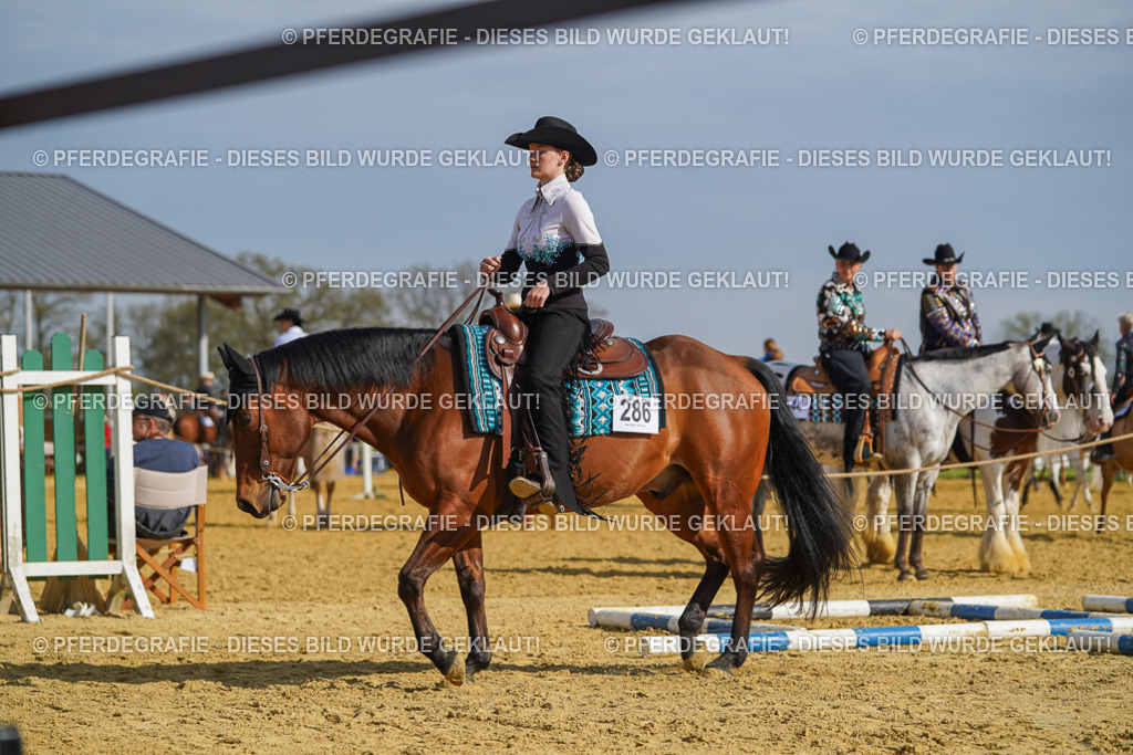 DSC01291 | Pferdegrafie