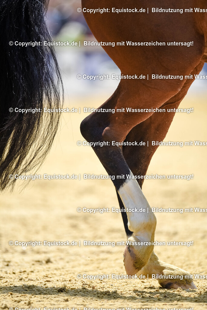 20250607_1_GP-Tour_Dressage_0179 | Foto: Thomas Hartig