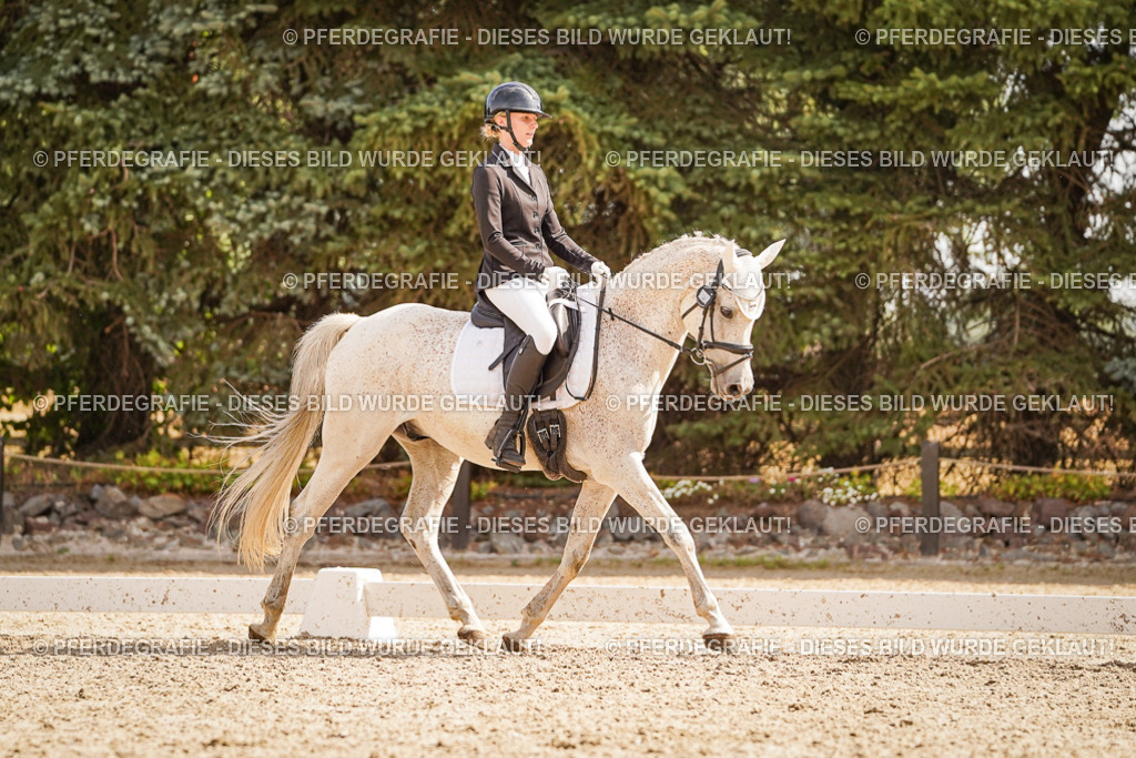 DSC01302 | Pferdegrafie