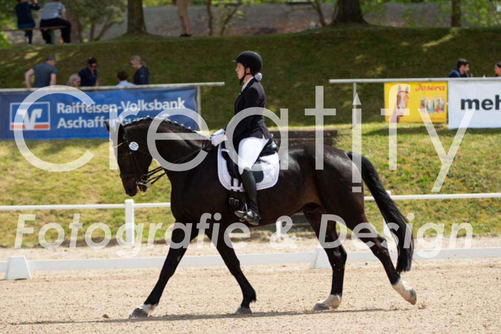 IMG_6316 | Creatify Fotografie