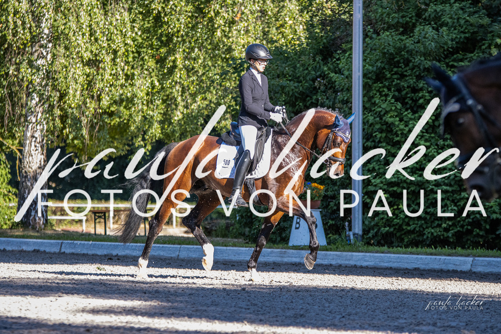 IMG_7901 | Erleben Sie dynamische Sport- und emotionale Tierfotografie in Süddeutschland mit Fotos von Paula. Spezialisiert auf Pferde- und Hundefotografie sowie Sportevents. Kontaktieren Sie mich für einzigartige und ausdrucksstarke Bilder Ihrer besonderen Momente. - Realisiert mit Pictrs.com