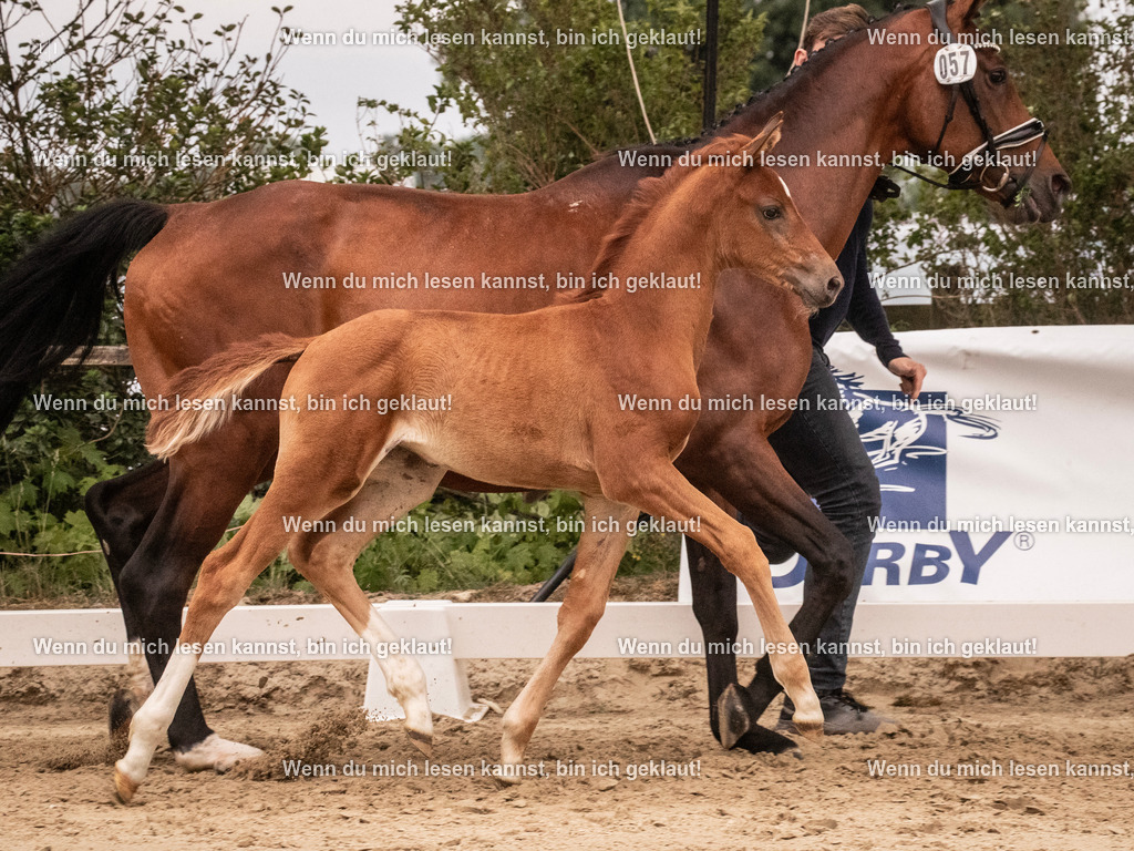 A10I5784 | photographylinaismer - Realisiert mit Pictrs.com