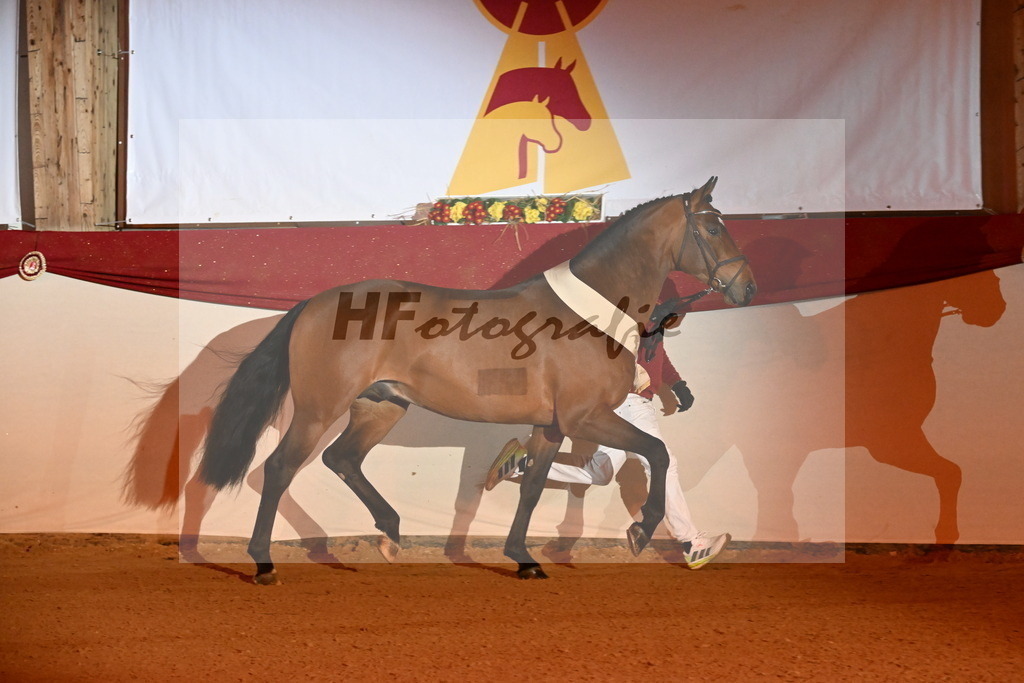 Chaplin_s Touch_Bachl_3261917 | hf-fotografie - Realisiert mit Pictrs.com