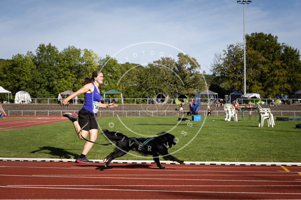 Pfotenfotografie_DV3A9305 | Hundefotografie, Tierfotograf, Pfotenfotografie, Fotoshooting Hund, Hunde Portrait, Hundesport, Hundeportraits, Heideshooting, Hunde, Sportfotograf, Hundefotograf, Turnierhundsport, THS,  - Realisiert mit Pictrs.com