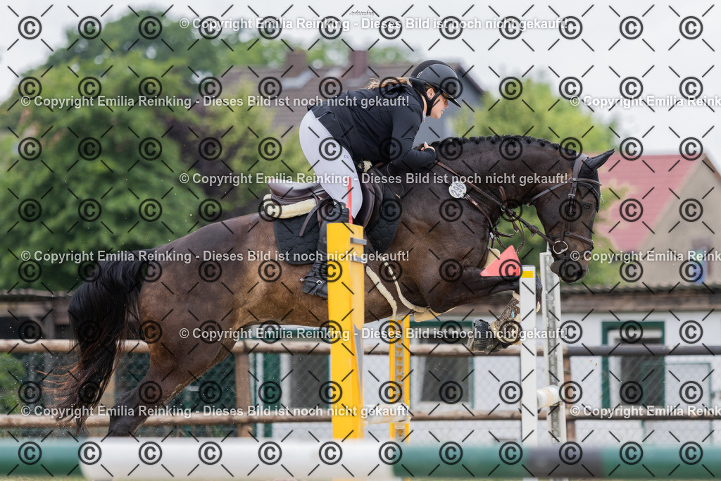 CL5A5040 | Emilia Reinking Fotografie - Realisiert mit Pictrs.com