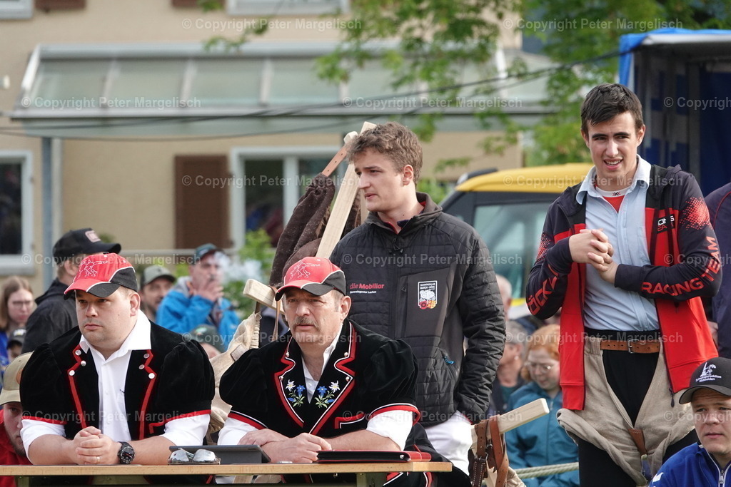 DSC03983 | Schwingen - Realisiert mit Pictrs.com