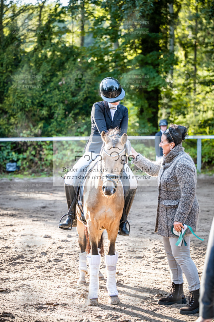 2026-10-Helle-14-0007 | Entdecke hochwertige Reitturnierfotos von Foto Oger. Professionell, emotional und authentisch – jetzt Lieblingsmomente im Shop bestellen.Deutschlandweite Turnierfotografie. - Realisiert mit Pictrs.com