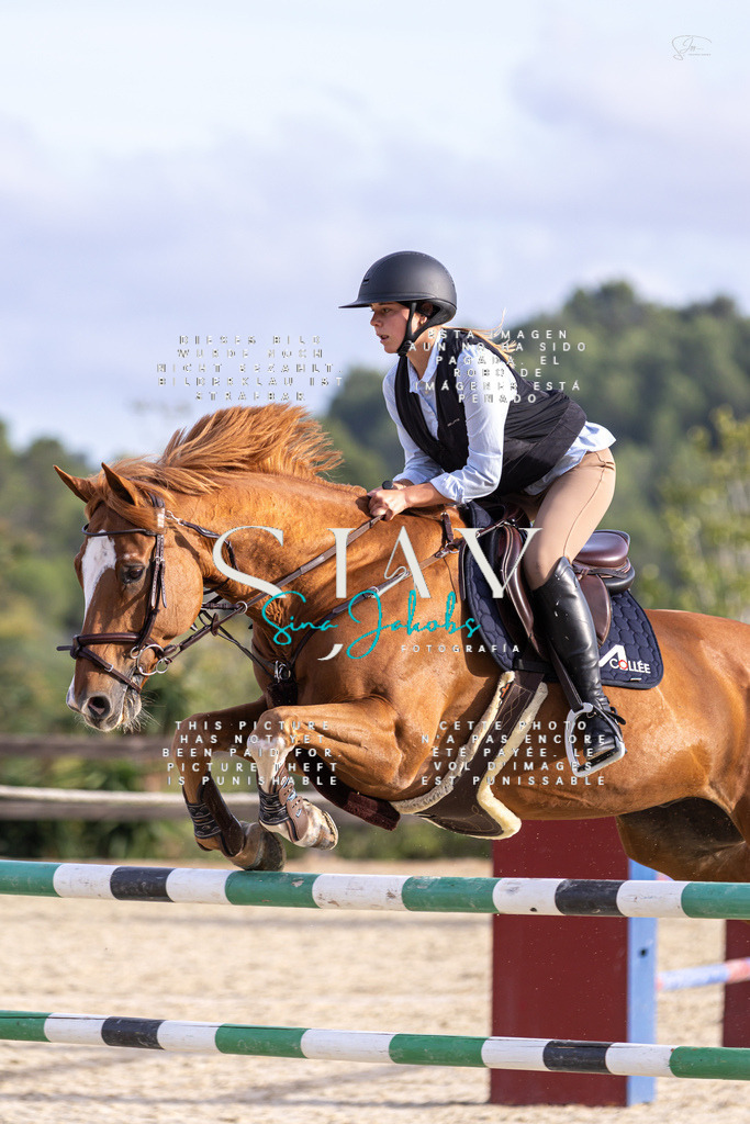 IMG_4648 | s-jay-photography - Realisiert mit Pictrs.com